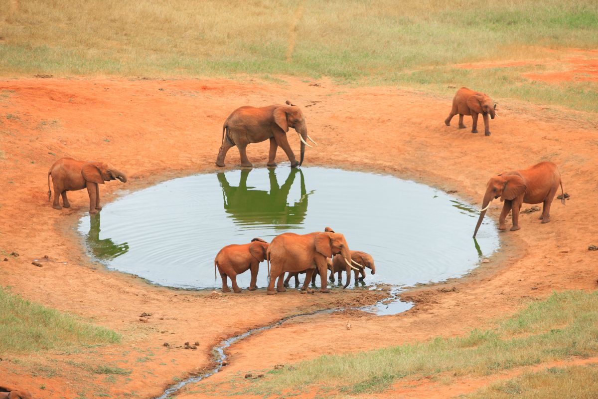 Kenya Holiday Packages