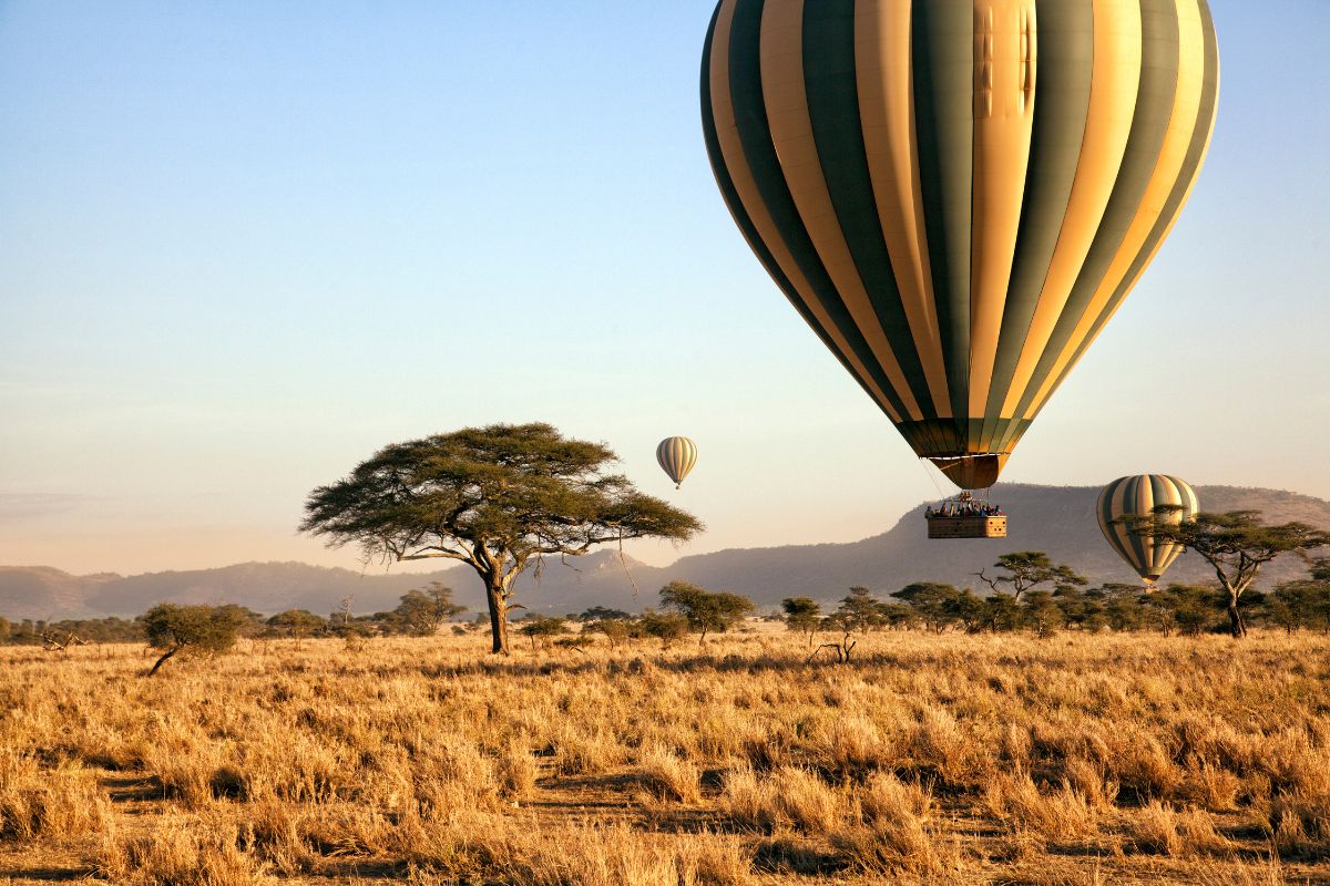 Book affordable Kenya Tanzania safari packages