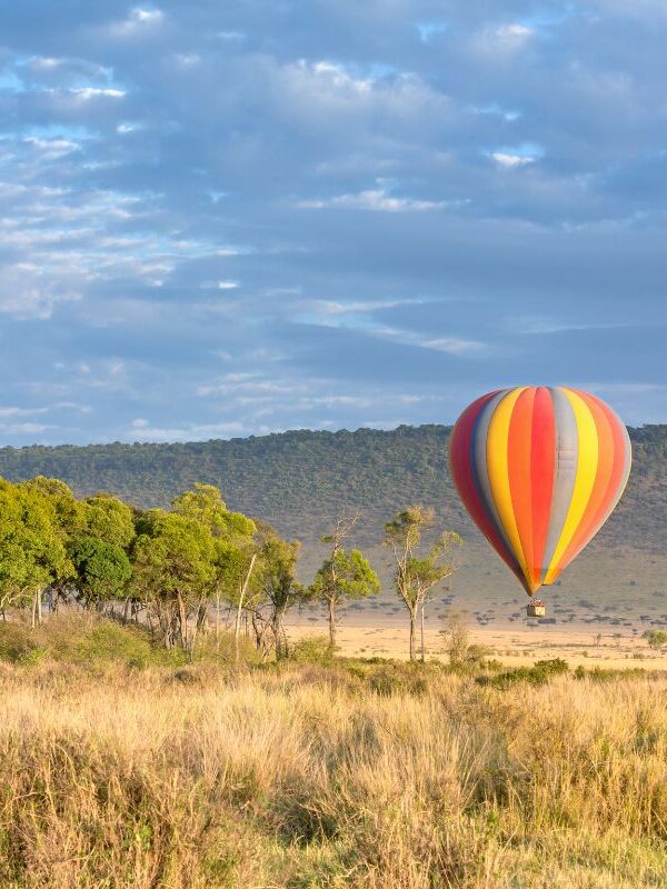 3 Day Masai Mara Fly-in Safari