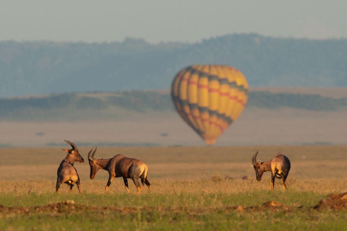 Kenya Adventure Safari Packages