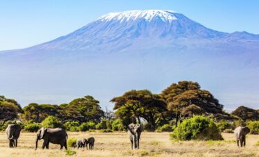 4 Day Amboseli National Park Safari
