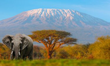 Book Affordable Uganda safari Packages