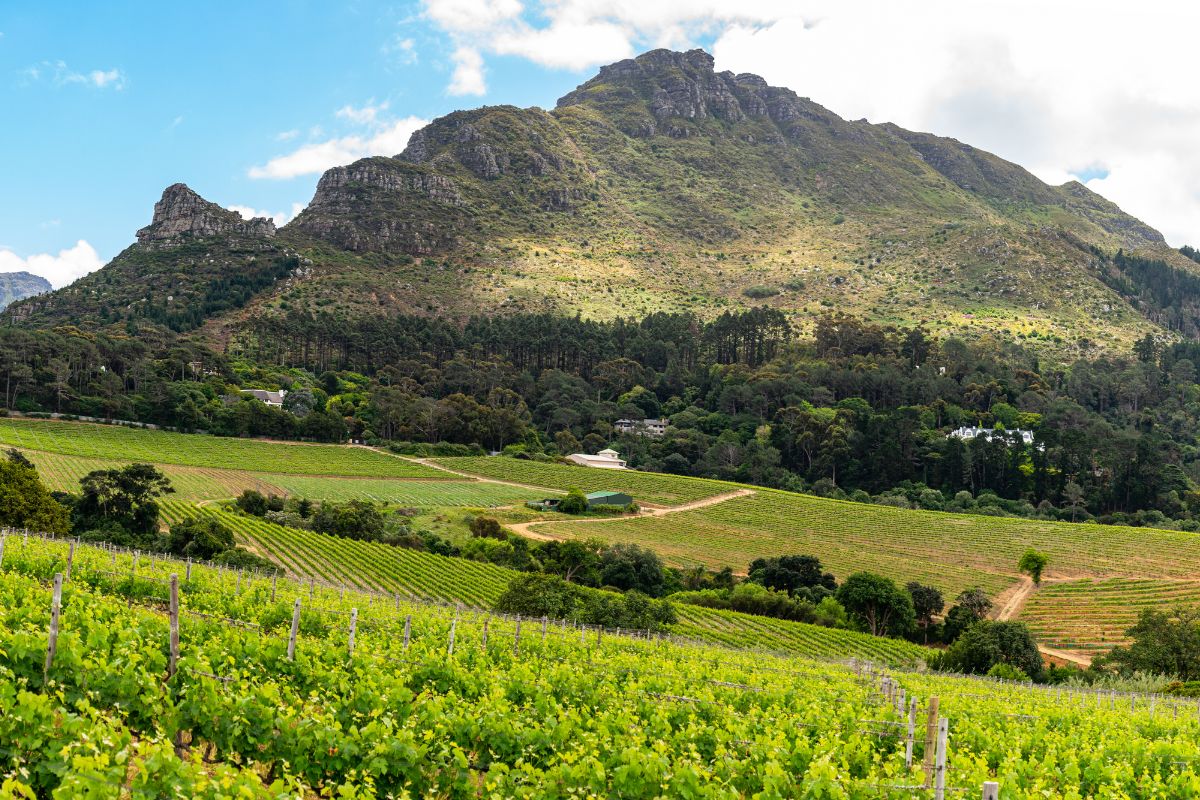 Book Affordable South Africa Safari Packages