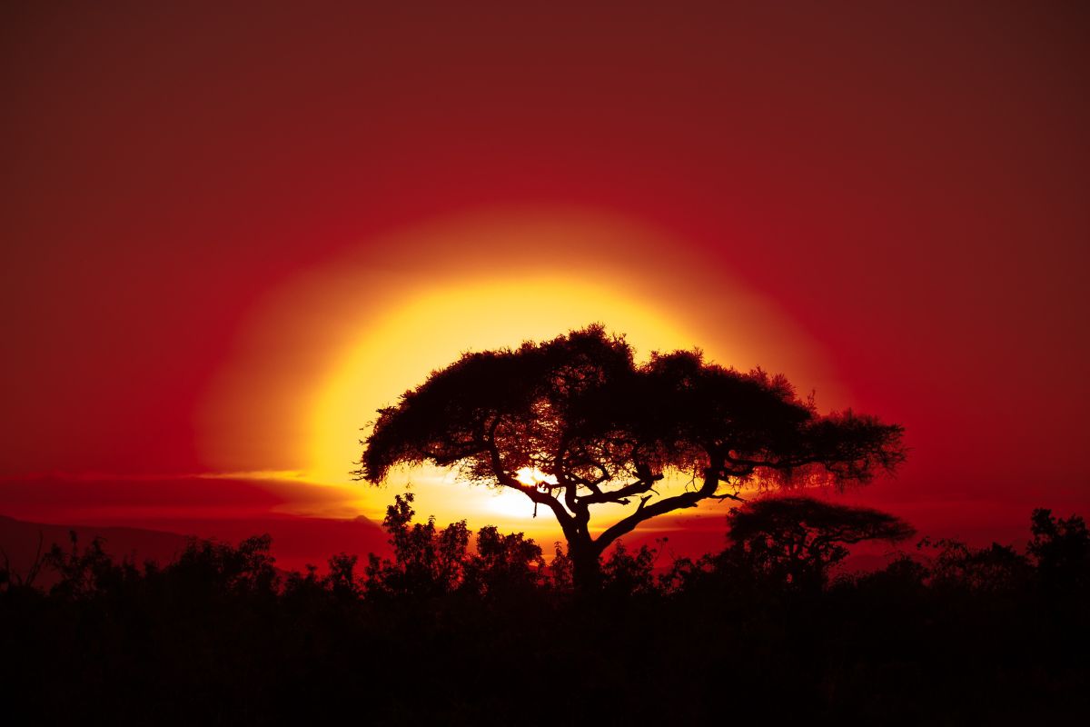 affordable night game drives safari packages