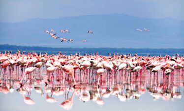 Lake Nakuru National Park