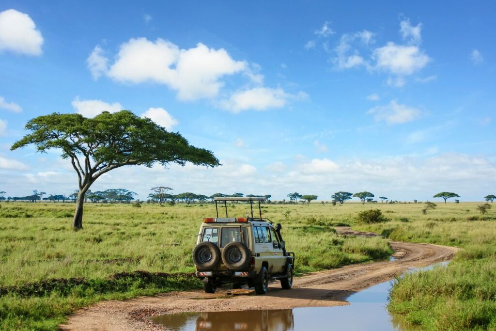 Best Christmas Holiday Destinations in Kenya