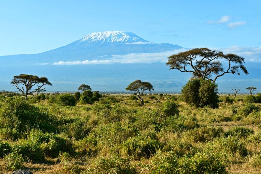 Book Amboseli National Park Safaris