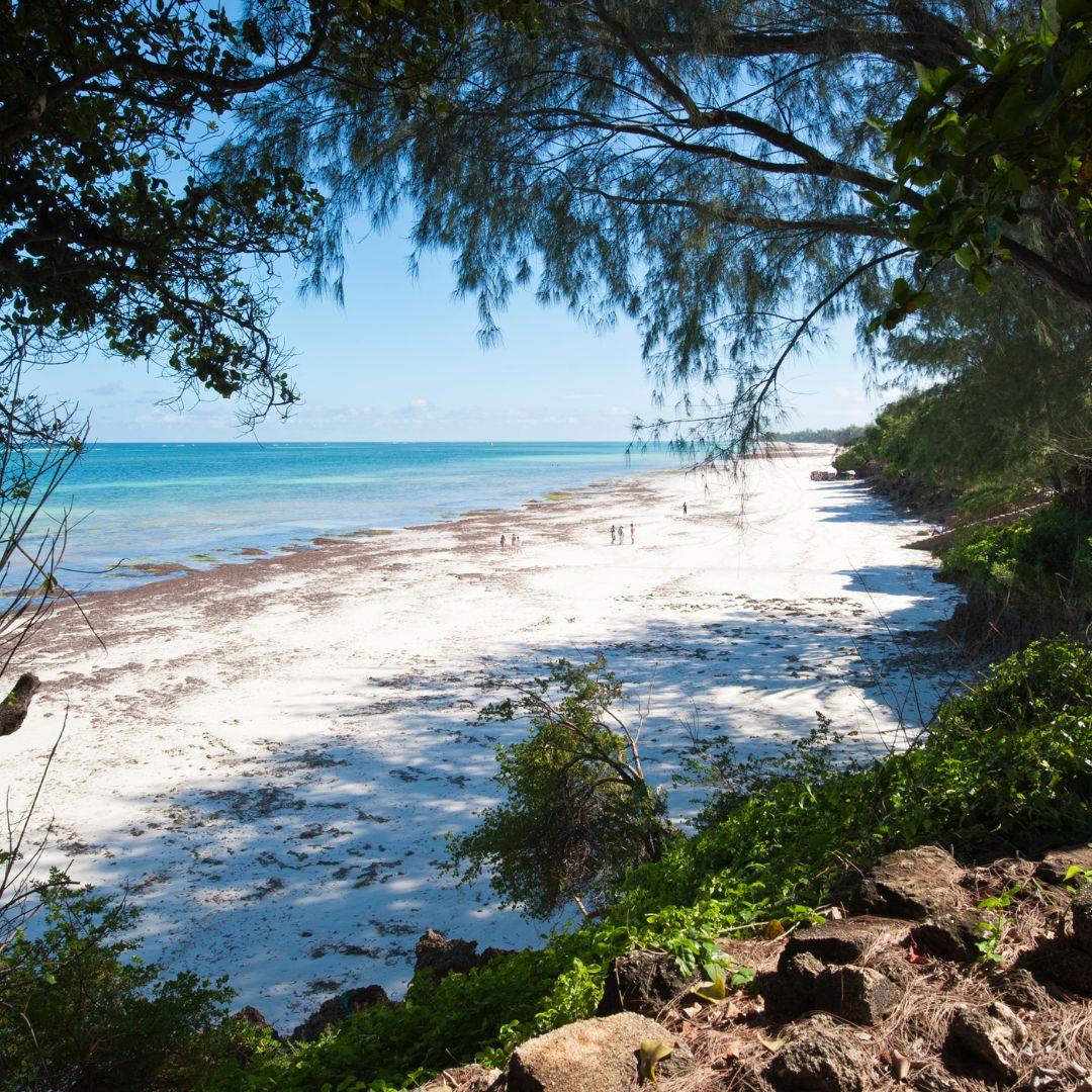 Book my safari to Diani Beach