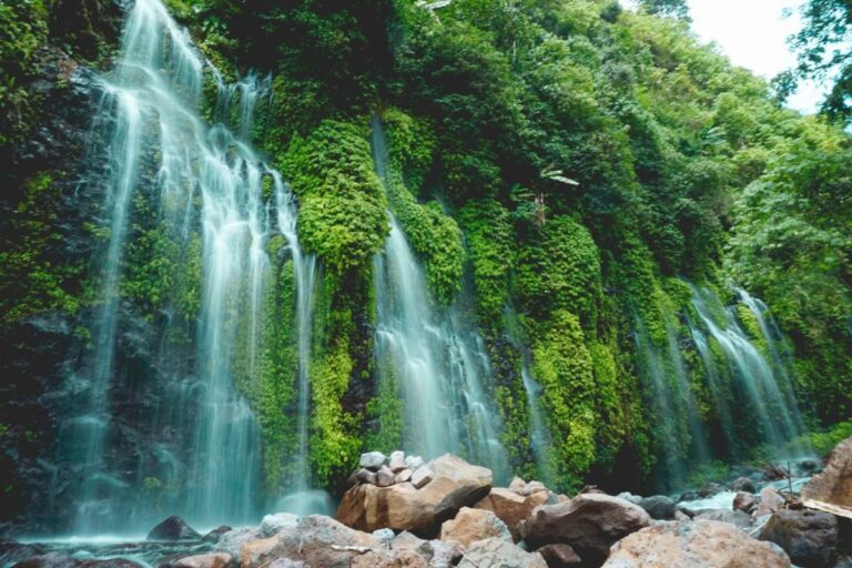 Explore the Hidden Gems in Kenya with Safari Experts