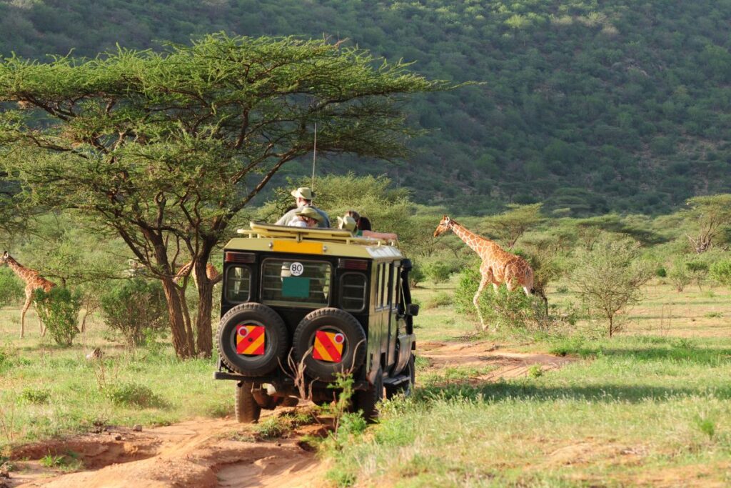 How to Choose the Best Tour Operator in Kenya