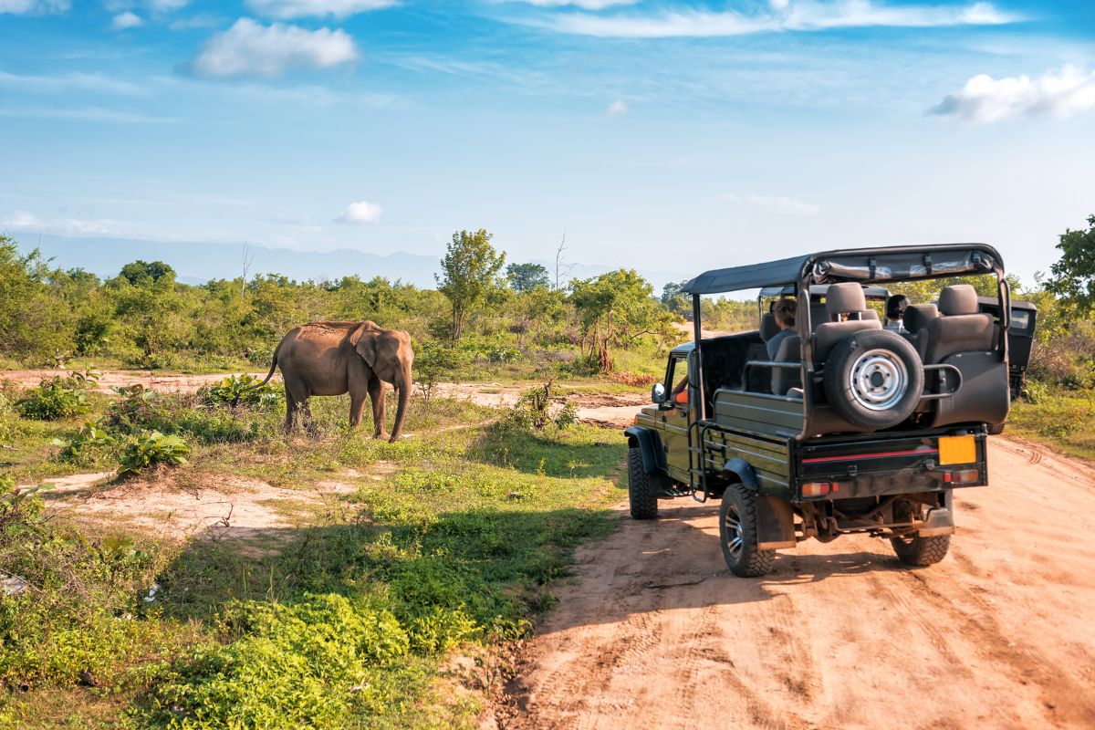 How to Choose the Best Tour Operator in Kenya