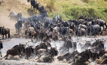 7 Days Kenya Great Migration Safari