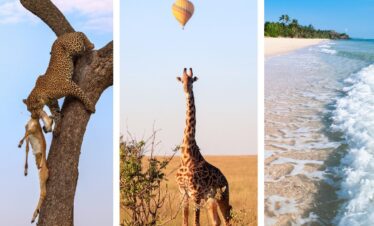 8 Days Private Kenya Safari and Beach Experience