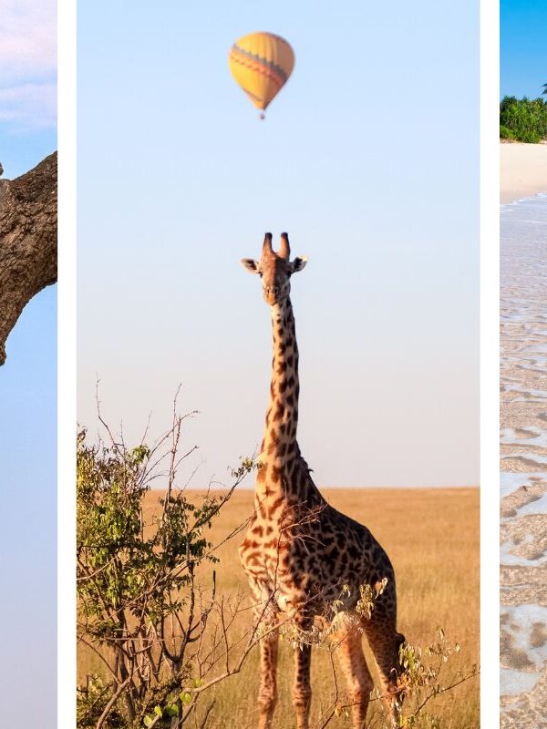 8 Days Private Kenya Safari and Beach Experience