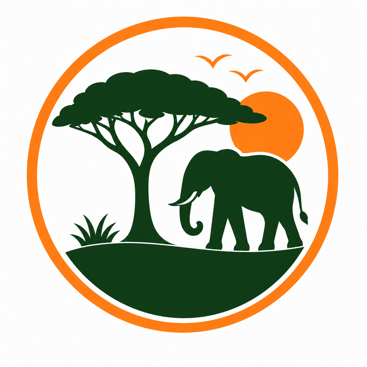 BOOK MY SAFARI