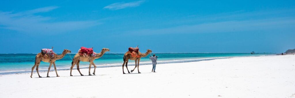 Diani Beach- Book My Safari Kenya